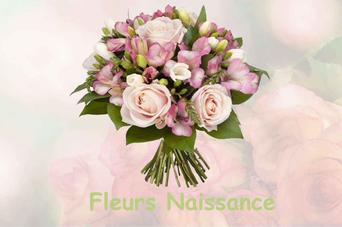 fleurs naissance MAREUIL-SUR-LAY-DISSAIS