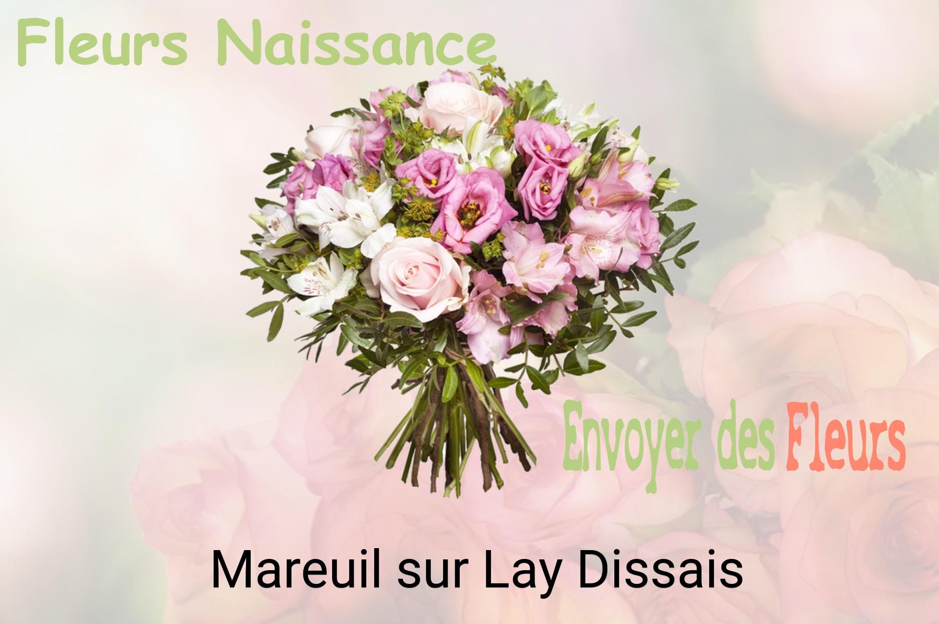 Bouquet de fleurs de naissance livré à Mareuil-sur-Lay-Dissais